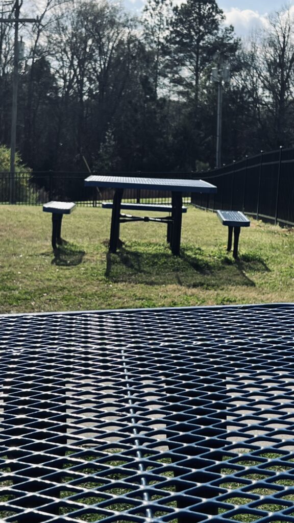 Come Out and Play